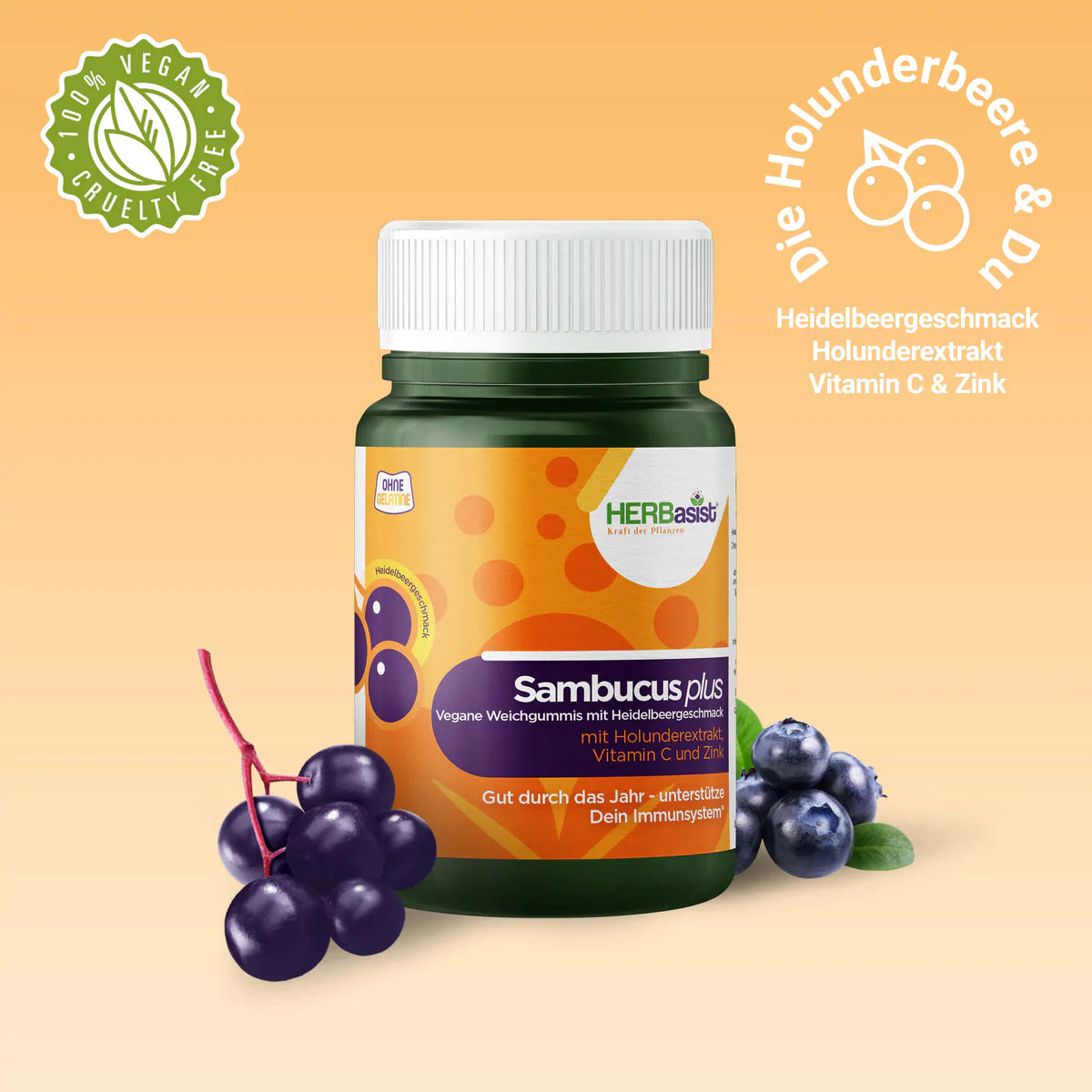 Sambucus plus | natürlich Vital