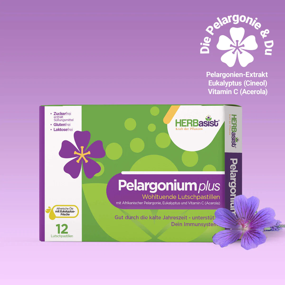 Pelargonium plus | natürlich Vital