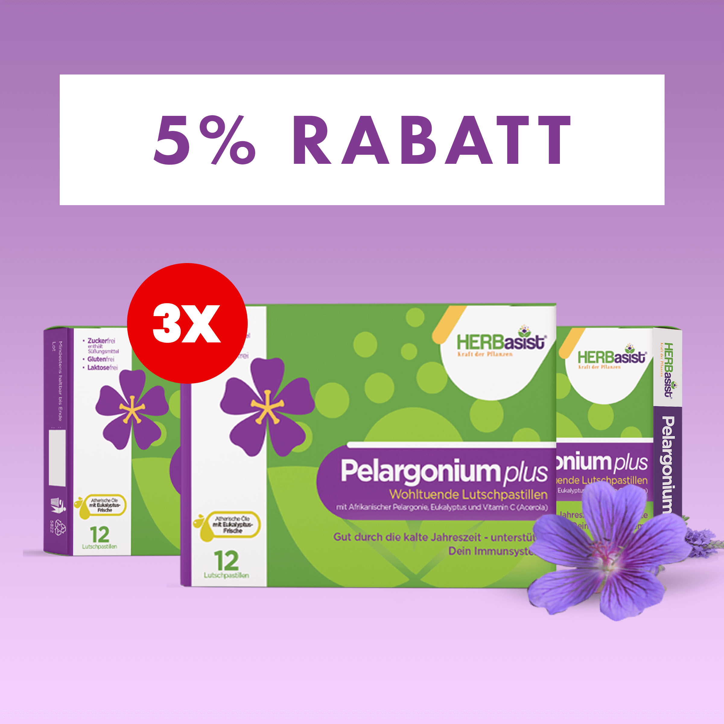 Pelargonium plus | natürlich Vital