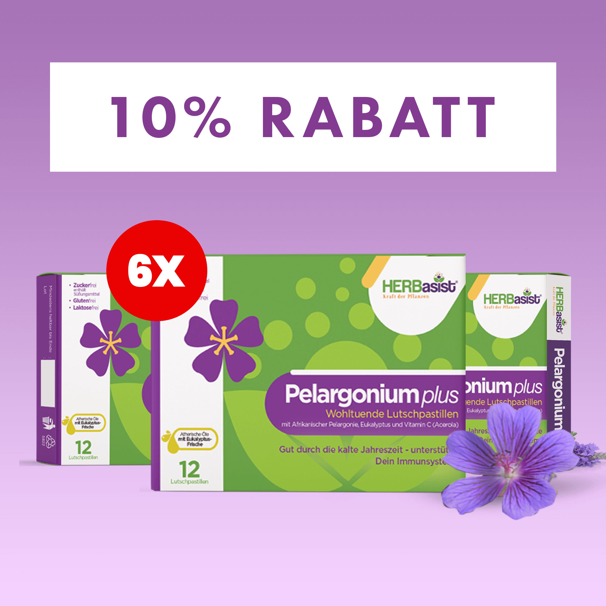 Pelargonium plus | natürlich Vital