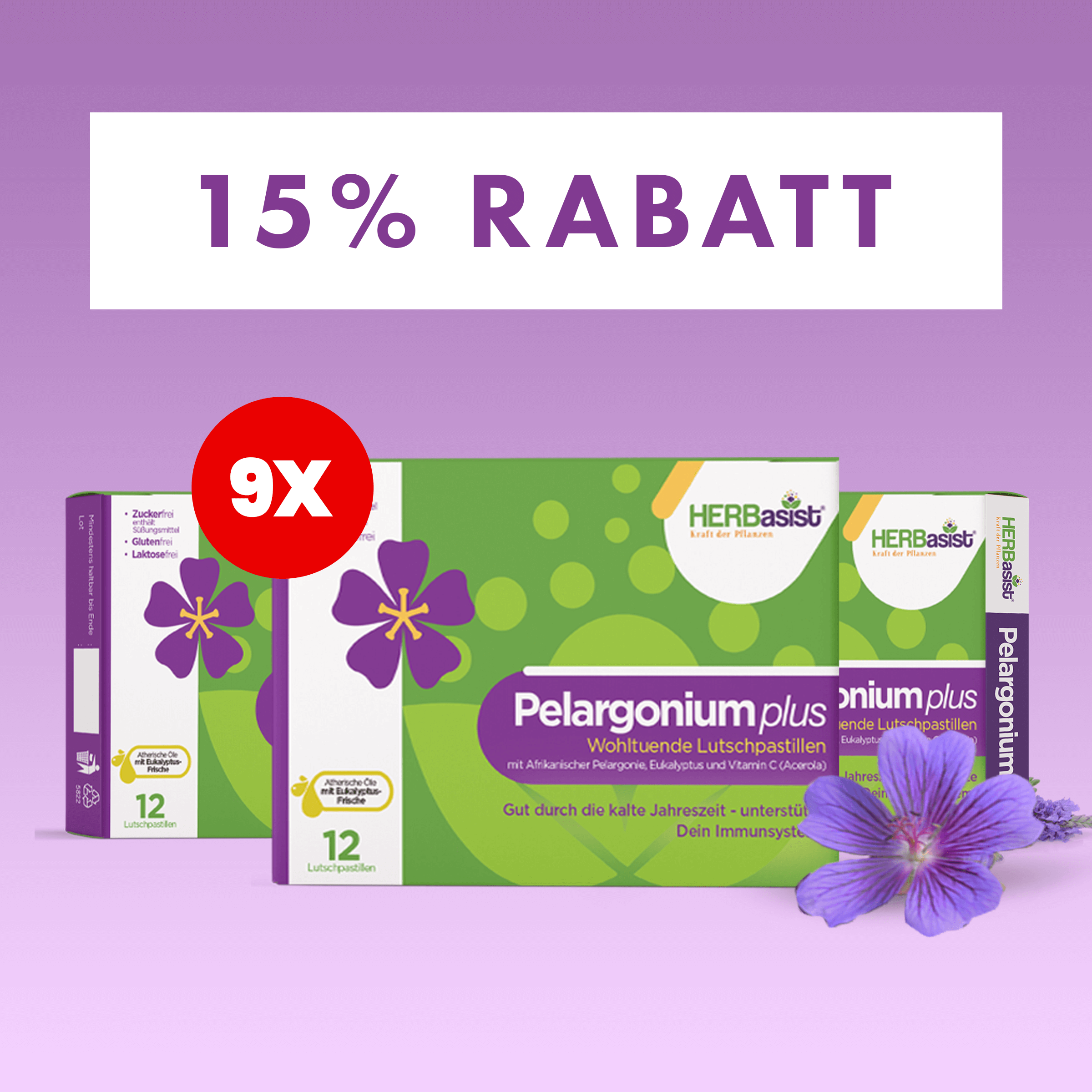 Pelargonium plus | natürlich Vital