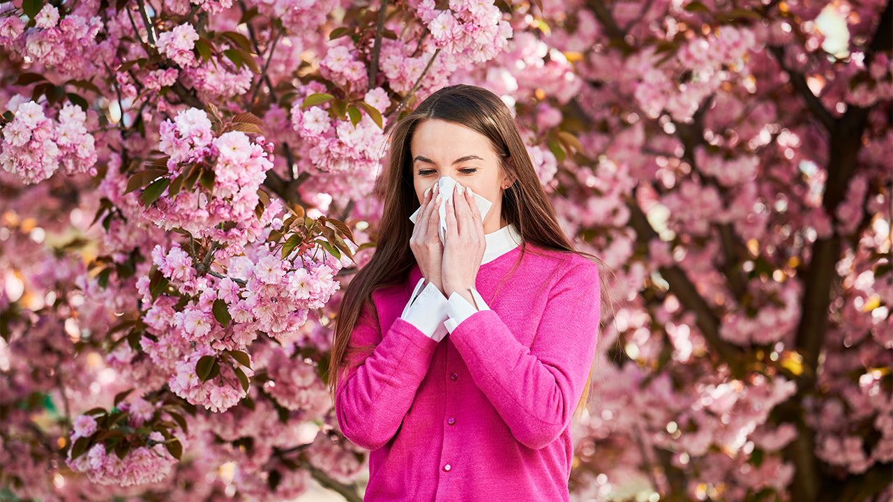 Die Wirkung von Quercetin gegen Allergien beruht auf mehreren Mechanismen